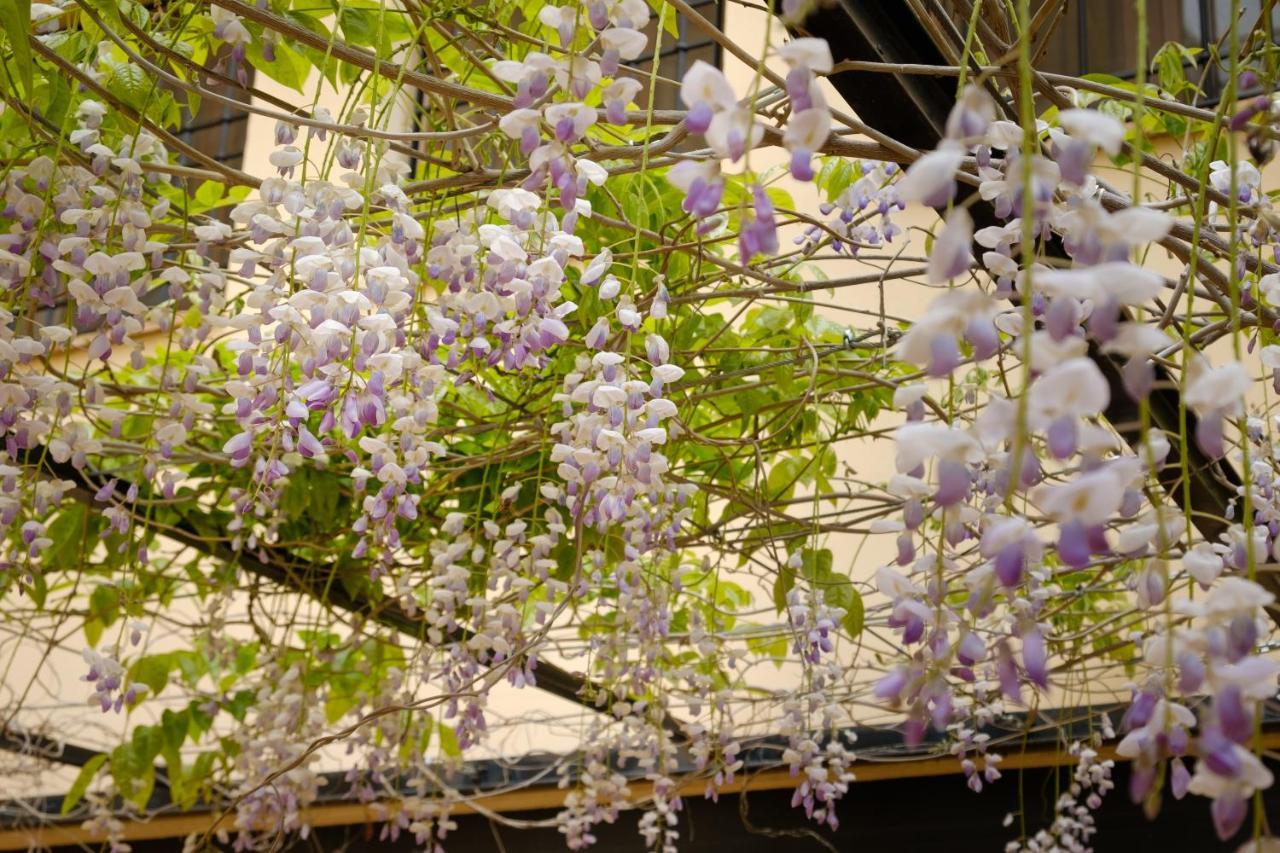 Casa Lucia Βίλα Requena Εξωτερικό φωτογραφία